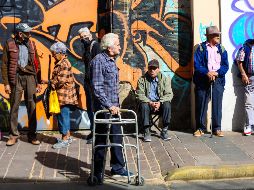 Las pensiones no pueden ser consideradas programas sociales y en consecuencia no serían afectadas por la veda electoral. EL INFORMADOR / A. Navarro