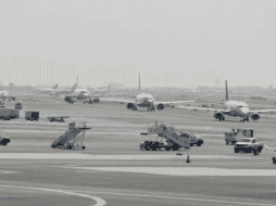 Las dos maletas confiscadas en el AICM contaban con un doble fondo, en los que se encontraron 10 y 9 paquetes de diversos pesos y tamaños. SUN/ ARCHIVO.