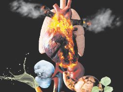 La crisis ambiental es una crisis en salud. CORTESÍA/Fernanda González