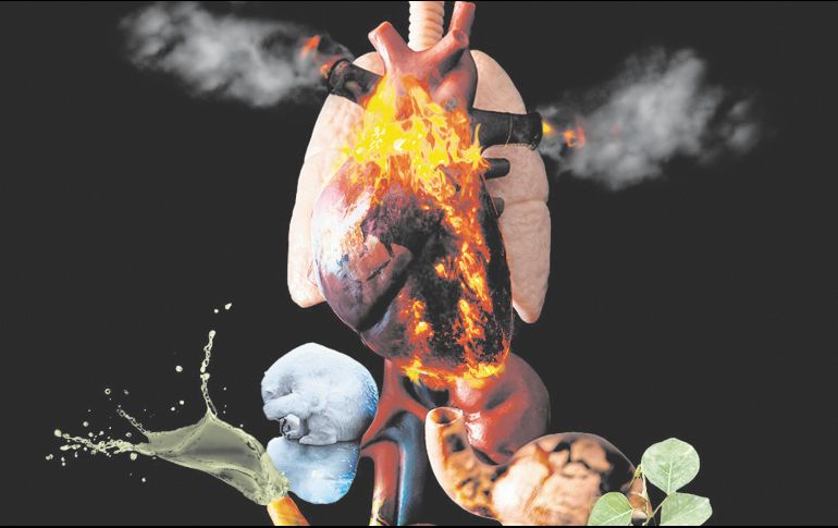 La crisis ambiental es una crisis en salud. CORTESÍA/Fernanda González