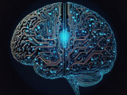 El modelo sugiere que existen diferencias detectables entre los sexos en el cerebro. Pixabay