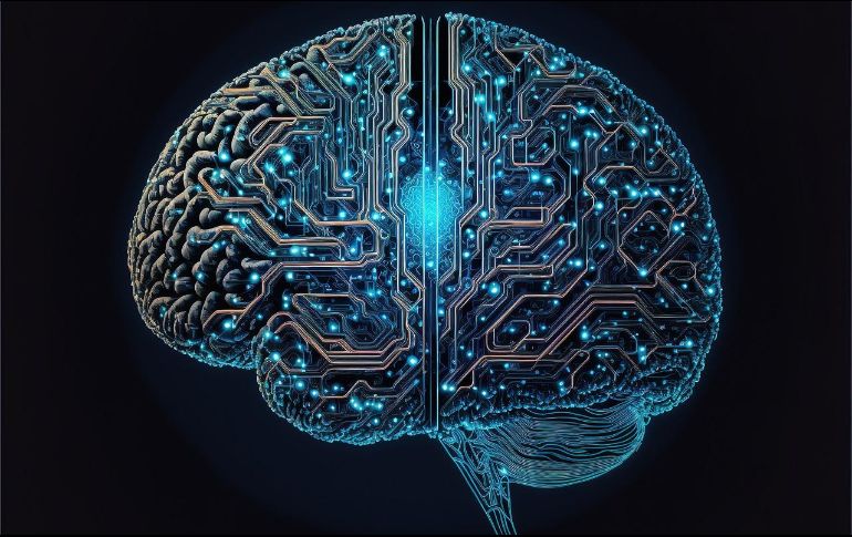 El modelo sugiere que existen diferencias detectables entre los sexos en el cerebro. Pixabay