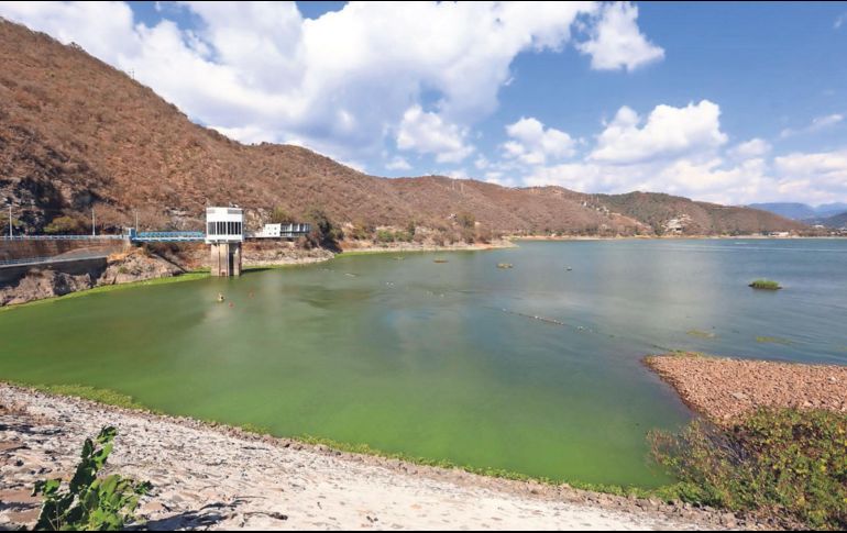 Los niveles hídricos del sistema lucen alarmantes. SUN/ARCHIVO