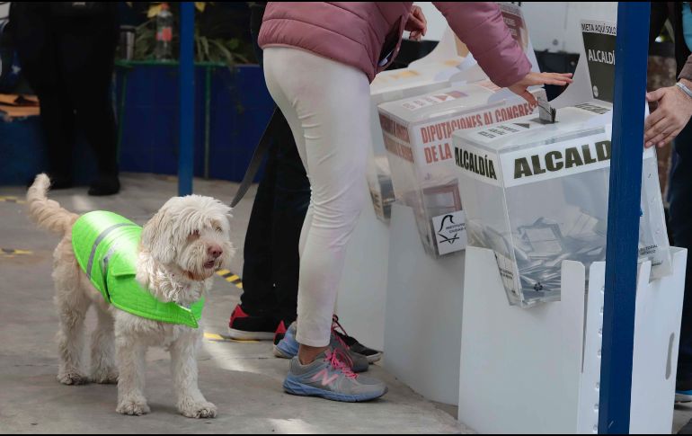 López Obrador convocó a toda la ciudadanía a ayudar a que las elecciones sean limpias y libres. SUN / ARCHIVO