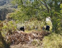 Familiares que conforman el colectivo,  inspeccionaron la zona, acompañados de los elementos de la Fiscalía y de la Comisión de Búsqueda de Personas de la Policía de Zapopan. CORTESÍA