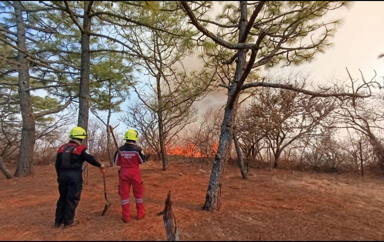 Debido al siniestro, fue necesaria la intervención del Ejército que aplicó el Plan DN-III en apoyo a los brigadistas de la Comisión Estatal Forestal y de la zona arqueológica. X/ @COESFO_GobOax.