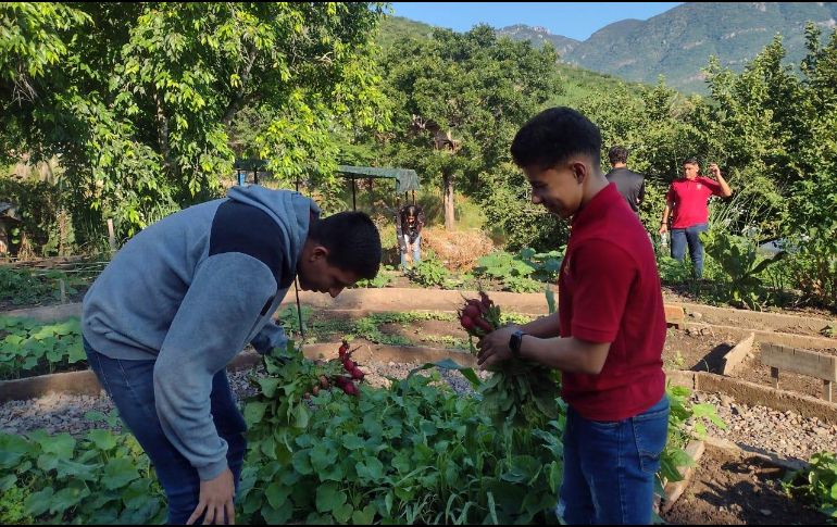 El cupo será para al menos 300 jóvenes que quieran participar de cualquier parte de Jalisco. CORTESÍA / P. FIGUEROA