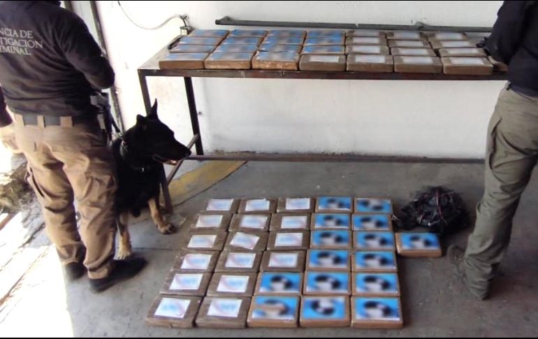 Un contenedor con 59.969 kilogramos de droga fue asegurado en una sucursal de una cadena comercial en Zapopan, por elementos de la Fiscalía General de la República (FGR). CORTESÍA