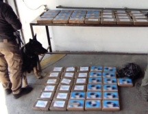 Un contenedor con 59.969 kilogramos de droga fue asegurado en una sucursal de una cadena comercial en Zapopan, por elementos de la Fiscalía General de la República (FGR). CORTESÍA