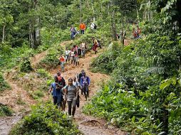 La ruta por el Darién está plagada de peligros como ataques de animales salvajes, la mordedura de serpientes, las crecidas de los ríos por las lluvias o los robos y violaciones. EFE / ARCHIVO