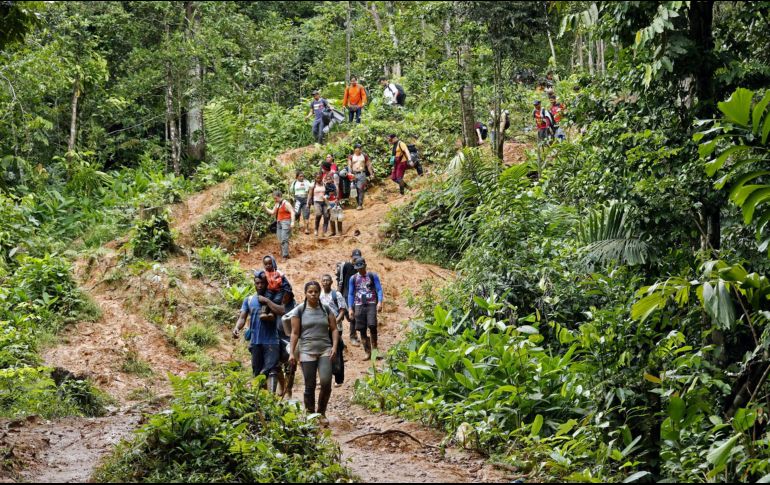 La ruta por el Darién está plagada de peligros como ataques de animales salvajes, la mordedura de serpientes, las crecidas de los ríos por las lluvias o los robos y violaciones. EFE / ARCHIVO