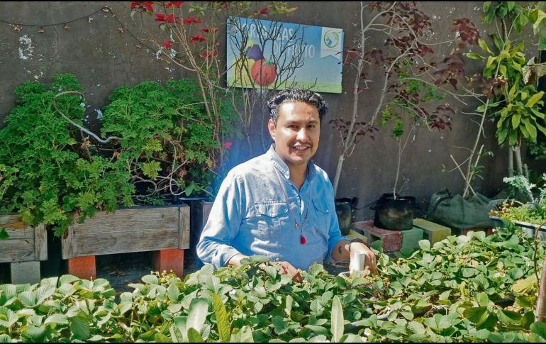 El Rincón Verde promueve huertos urbanos orgánicos. ESPECIAL