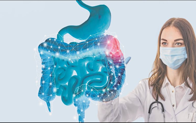 Tener un correcto tránsito intestinal permite la absorción correcta de nutrientes. ESPECIAL