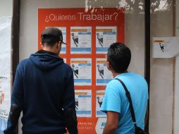 Las cifras de desempleo son un reflejo del comportamiento económico de México, que creció un 3.2% anual en 2023, según los datos definitivos que el Inegi difundió la semana pasada. EL INFORMADOR / ARCHIVO