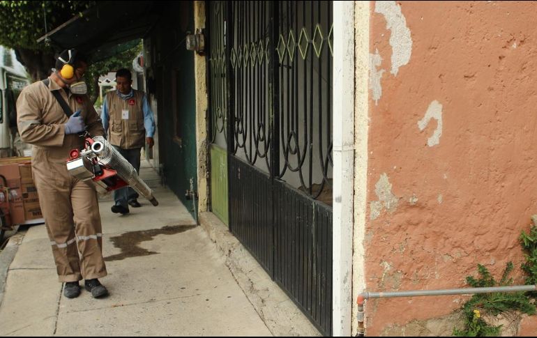 Se solicitó que a través de la Secretaría de Salud fortalezca las acciones de prevención, vigilancia, control y fumigación continua. EL INFORMADOR/ARCHIVO