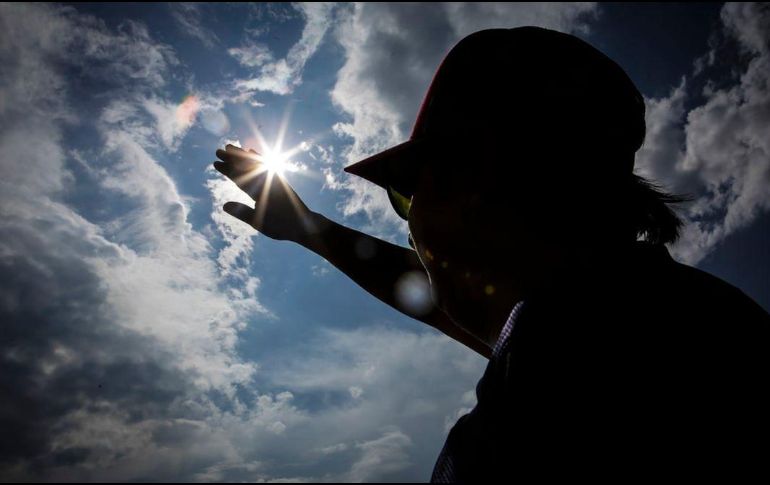 Los aceites vegetales son aquellos que contienen ácidos grasos, sin olor y que se extraen de frutos oleaginosos y semillas. SUN / ARCHIVO