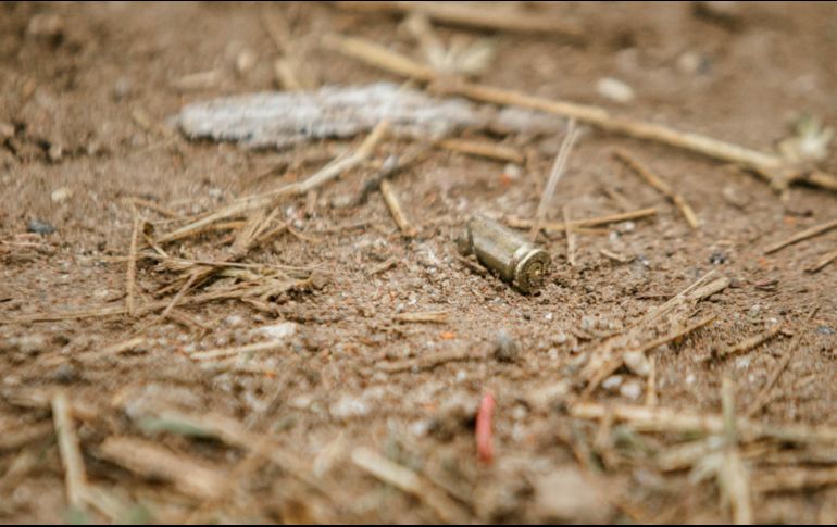 Durante el año 2023, Veracruz se ubicó en la séptima posición nacional con el mayor número de hechos de extrema violencia. EL INFORMADOR/ ARCHIVO.