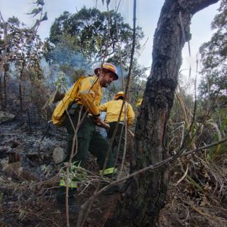 Se registra incendio en terreno baldío cercano al Bosque de El Centinela