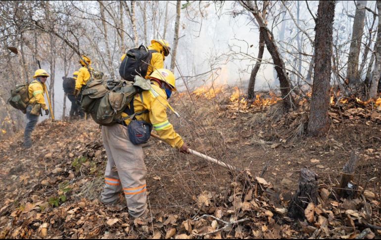 Los cuerpos fueron rescatados luego de 48 horas en que fue reportada su desaparición y por lo inaccesible del terreno. X/ @GobOax.