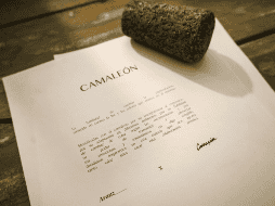 Apertura de la exposicion de pintura Camaleon de Natalia Arauz y Carina Sainz. EL INFORMADOR/A.NAVARRO