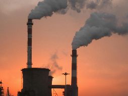 Se detectó una disminución de la confianza empresarial en los sectores de manufactura, comercio, construcción y no financieros. ESPECIAL/ Foto de A. Tsang en Unsplash