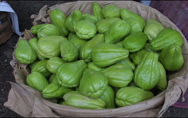 El chayote ofrece un significativo aporte de vitaminas pertenecientes al complejo B que influyen en el metabolismo energético de nuestro cuerpo y refuerza nuestro sistema inmunológico. EL INFORMADOR / ARCHIVO