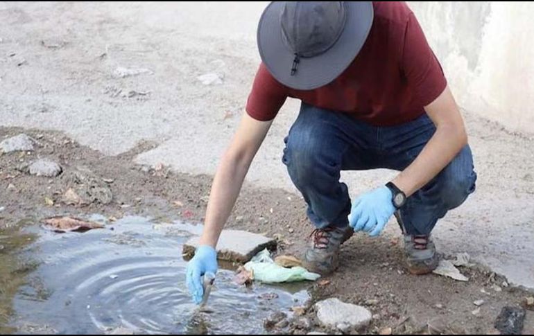 El pasado 13 de febrero se publicó que cuatro personas fallecieron a consecuencia de esta enfermedad. ESPECIAL / SUN