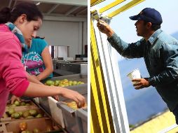 México es uno de los países donde las personas dedican más tiempo al trabajo: 2 mil 226 horas, para ser exactos. NTX / EL INFORMADOR / ARCHIVO