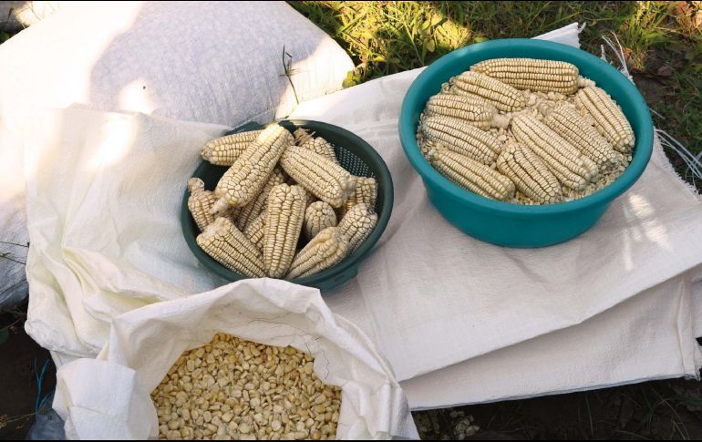 También se comentó, que es necesario trabajar en campañas de información sobre la eficiencia del uso del agua, la tecnificación y el cuidado del medio ambiente. SUN / ARCHIVO