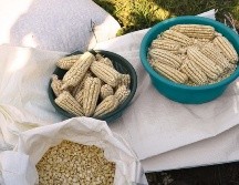 También se comentó, que es necesario trabajar en campañas de información sobre la eficiencia del uso del agua, la tecnificación y el cuidado del medio ambiente. SUN / ARCHIVO