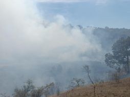 El siniestro se presenta sobre predio las Minitas en el Ejido La Primavera. CORTESÍA/ Bomberos de Zapopan.