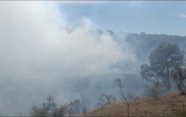 El siniestro se presenta sobre predio las Minitas en el Ejido La Primavera. CORTESÍA/ Bomberos de Zapopan.