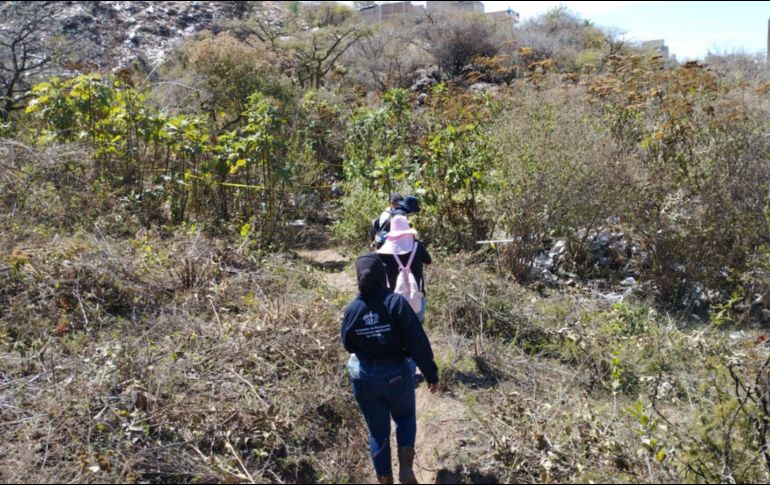 De acuerdo con Héctor Flores, vocero del colectivo, fueron encontrados restos óseos, ropa con sangre, un presunto cadáver envuelto en una cobija, así como indicios de posibles incineraciones. ESPECIAL