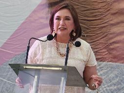 Al dar a conocer la lista de los delegados, el equipo de campaña aseguró que 