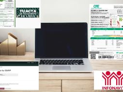 La vida se ha digitalizado, y ahora muchos trámites se realizan por internet. ESPECIAL