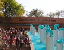 Niñas, niños y adolescentes podrán participar en recorridos especiales, rallys, actividades ecológicas, interacción con los animales y mucho más. EL INFORMADOR/ ARCHIVO.