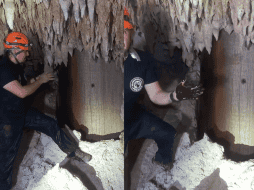 El 16 de febrero pasado, un tribunal federal dictaminó la suspensión de las obras del Tramo 5 sur del Tren Maya. ESPECIAL/TIK TOK