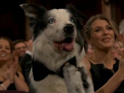 Messi apareció en la transmisión de los premios Oscar e incluso fue mencionado por el conductor Jimmy Kimmel. ESPECIAL.