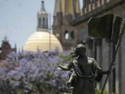 Los árboles de Guadalajara están viviendo eclosiones anticipadas. EL INFORMADOR/ ARCHIVO