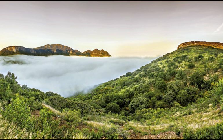 Este es uno de los Pueblos Mágicos que podrías visitar en esta Semana Santa que está por llegar. ESPECIAL / GOBIERNO DE JALISCO