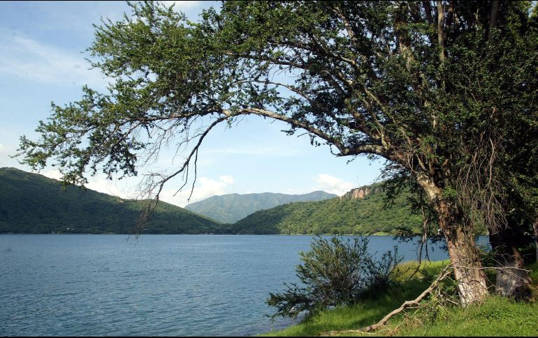 Esta es la historia de cómo obtuvimos un Buckingham mexicano. EL INFORMADOR / ARCHIVO