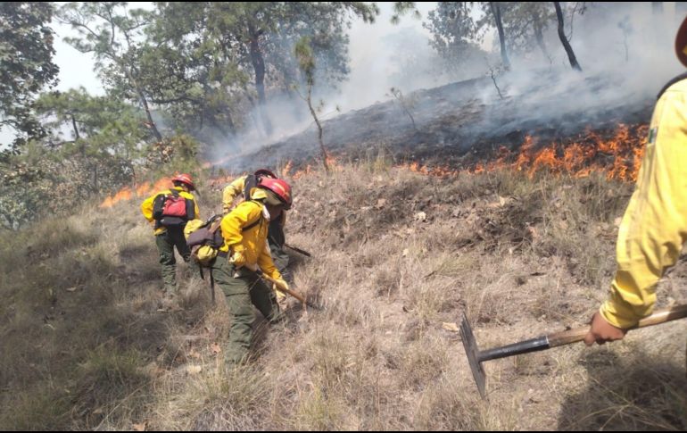 Un grupo de 114 brigadistas de los tres niveles de gobierno lucharon para sofocar las llamas. TWITTER/ @ReporteForestalJalisco