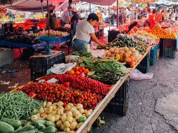La preparación de este jugo contra la gastritis con tan sólo dos verduras es sencilla y rápida. EL INFORMADOR / ARCHIVO