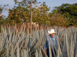 El gobernador del estado confirmó del presidente municipal con licencia de Pihuamo. FACEBOOK / Humberto Amezcua
