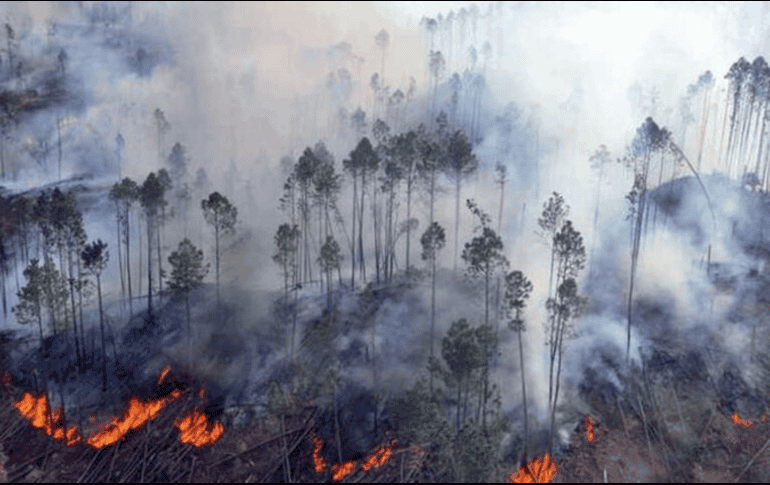 Las temperaturas han superado máximos históricos, al ubicarse por encima de los 40 grados en algunas zonas. X/@hoypy