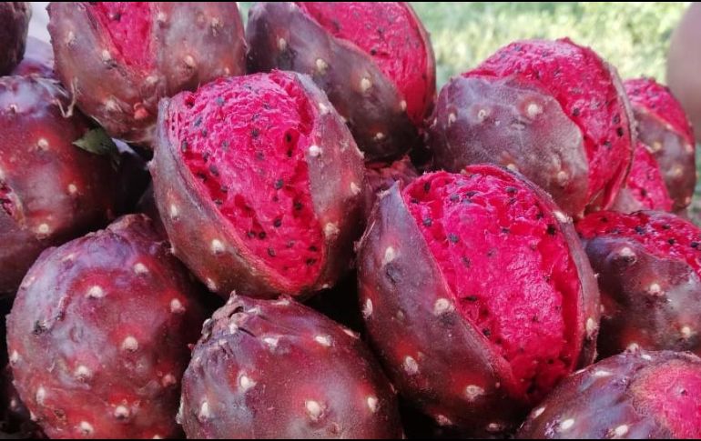 La pitaya no solo es valorada por su delicioso sabor y su importante papel en la economía del campo, también por sus propiedades nutricionales. EL INFORMADOR / M. VARGAS