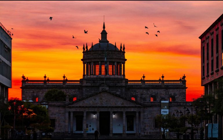 Jalisco es el segundo estado en el país con la presencia de esta enfermedad. ESPECIAL / PEXELS Abraham