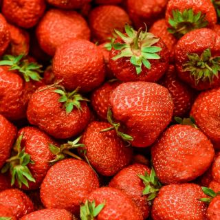 España detecta fresas marroquíes con hepatitis A que iban a Polonia