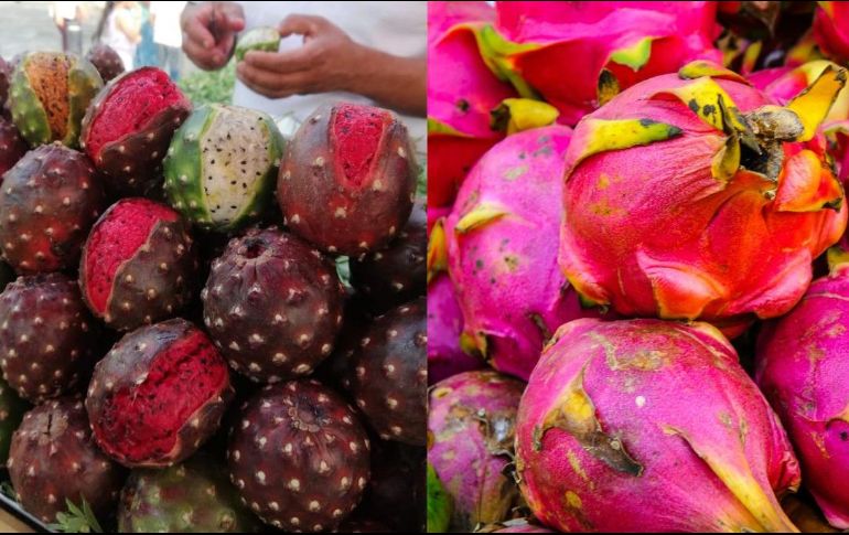 La pitaya es una fruta ovalada que tiene diferentes presentaciones, su cáscara es dura y tiene algunas espinas a su alrededor. EL INFORMADOR / ARCHIVO / UNSPLASH /  A. Schimmeck /