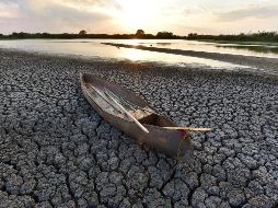 Los nuevos hallazgos de la OMM son especialmente sombríos, al estar incluidos en un mismo reporte. EFE / ARCHIVO